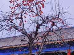 -北京石刻艺术博物馆