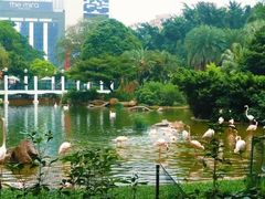 -九龙公园
