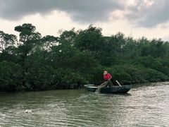 -东寨港红树林旅游区