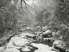 -龙苍沟森林公园