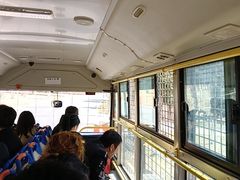 -横道河子东北虎林园