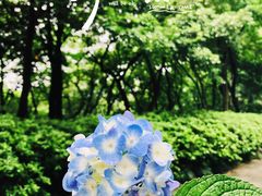 -临平公园(临平街道)