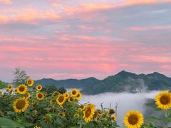 -石潭村
