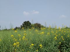 -驿舍·民國老营房院子私房菜(科学会堂店)