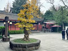 -成都武侯祠博物馆