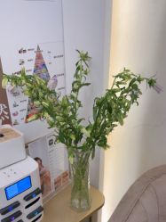 -MIDA蜜哒•科技逆龄美肤连锁