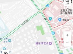 -复旦大学附属华山医院(浦东院区)