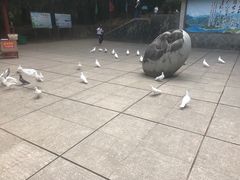 -翠屏湖景区