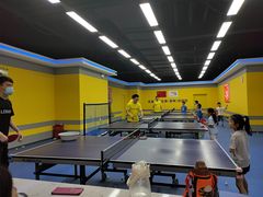 -乐旋乒乓球(郑州一站广场店)