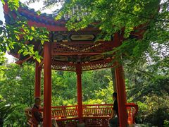 -复旦大学附属中山医院(西院区)