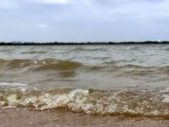 -瑶湖郊野森林公园