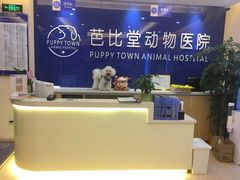-芭比堂动物医院·24小时·眼科中心(深圳中心)