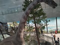 -湖南省地质博物馆