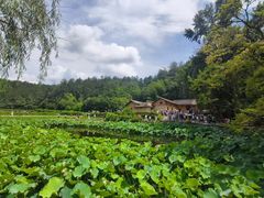 -韶山毛泽东图书馆