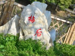 -香雪海