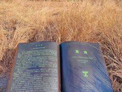 -良渚古城遗址公园