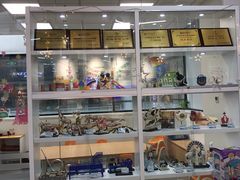 -斯坦星球AI编程·机器人科创·科学实验·信奥·思维·STEM·积木拼搭·竞赛考级(长宁虹桥大融城荟聚中心)