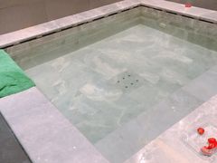 -大连金石滩绿发温泉假日酒店