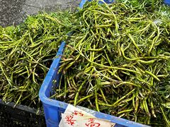 -羊子两室一厅(八一广场店)