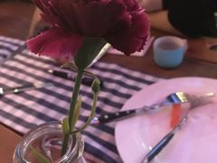 -Paulaner·德国帕拉娜自酿啤酒餐厅(海上世界店)