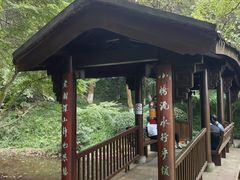 -杭州半山国家森林公园