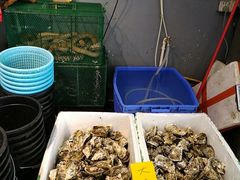 水产区-飞尝蚝·顺德菜·鱼生(顺德总店)