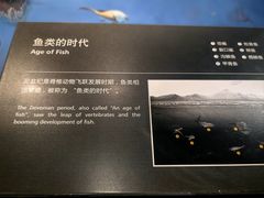 -浙江自然博物院(杭州馆)