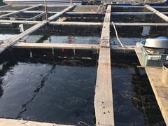 -蓝湾碧波·老字号·疍家非遗海上餐厅