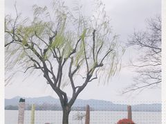 -杭州西湖柳莺里酒店·闻莺厅