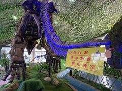 -诸城市恐龙博物馆
