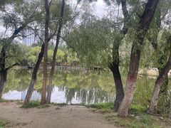 -青城公园