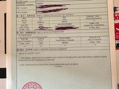 -申普宠物医院·心脏介入·心血管微创(总院)