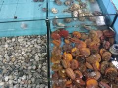 -梅姐海鲜餐厅(水头海鲜街店)
