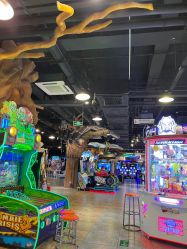 -卡通尼·Safari非洲探索乐园·生日会(金桥国际商业广场店)