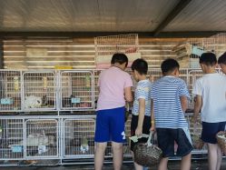 -小蜜蜂农场(凯德七宝购物广场店)