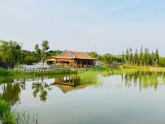 -张家湾公园