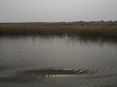 -黄沙古渡原生态旅游区