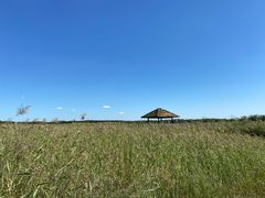 -西青郊野公园