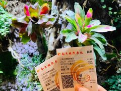 -春天国际影城(中庚漫游城杜比全景声店)