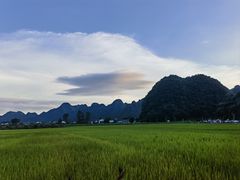 -万峰林风景区
