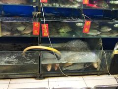 皮皮虾-金宝生活市场(东五环店)