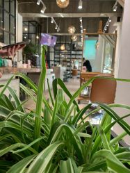 -M+hair salon专业造型沙龙