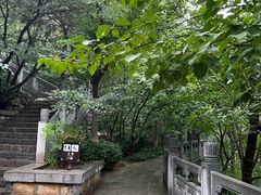 -佛慧山