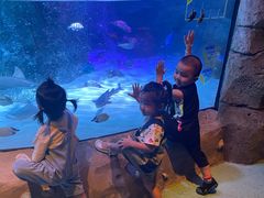 -沈阳海洋探索中心