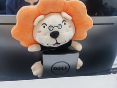 -马泷齿科·成都锦江置略马泷口腔门诊部(IFS国金中心店)