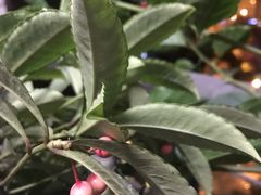 -鹿岛会员店 (龙湖三千集天街店)