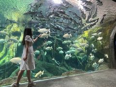 -哈尔滨波塞冬海底世界