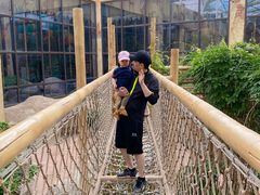 -杭州开元森泊度假乐园