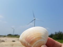 -汕尾风车岛