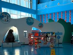 -泉城欧乐堡海洋极地世界